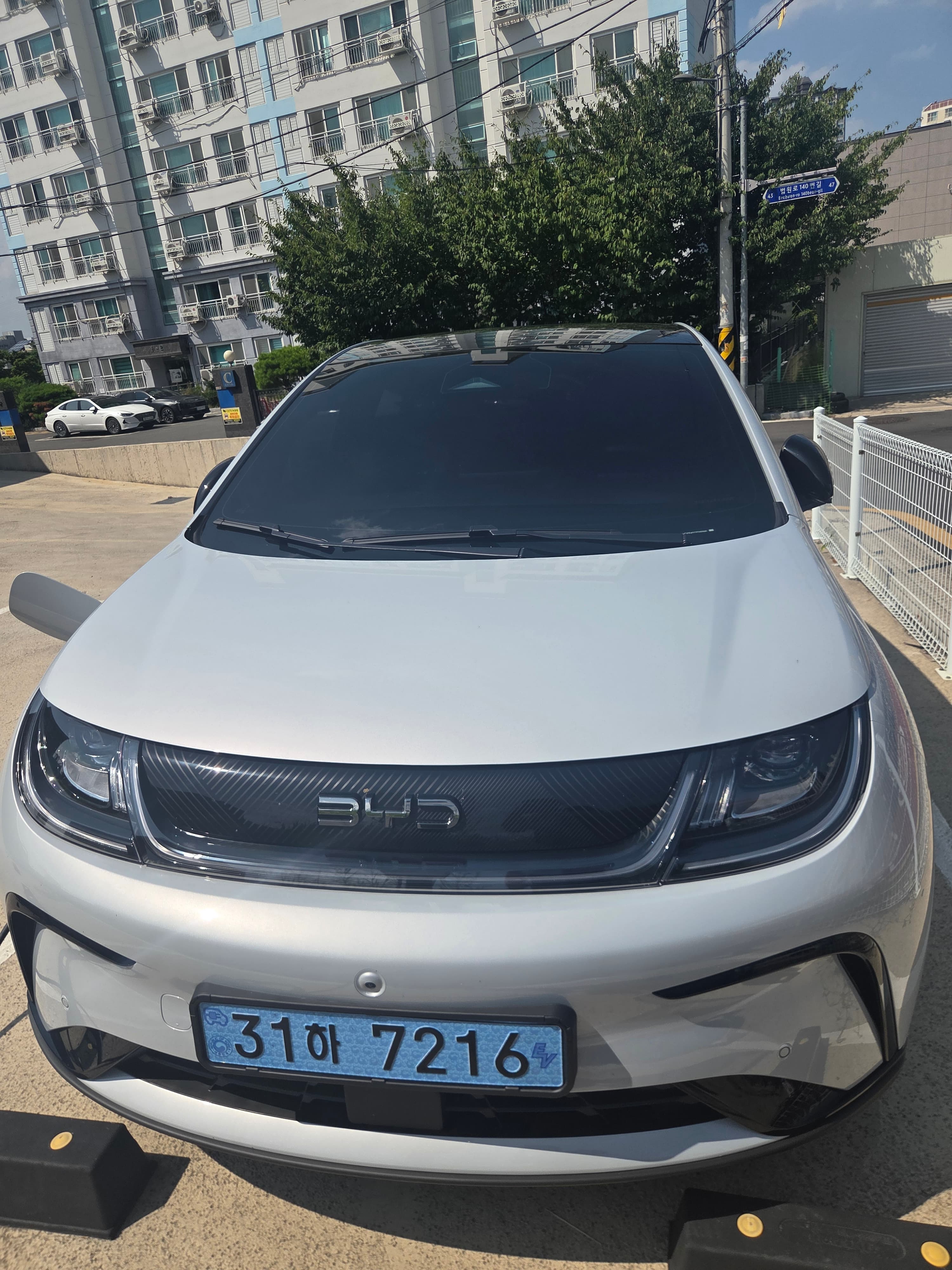 BYD Dolphin 출고후기 사진 1