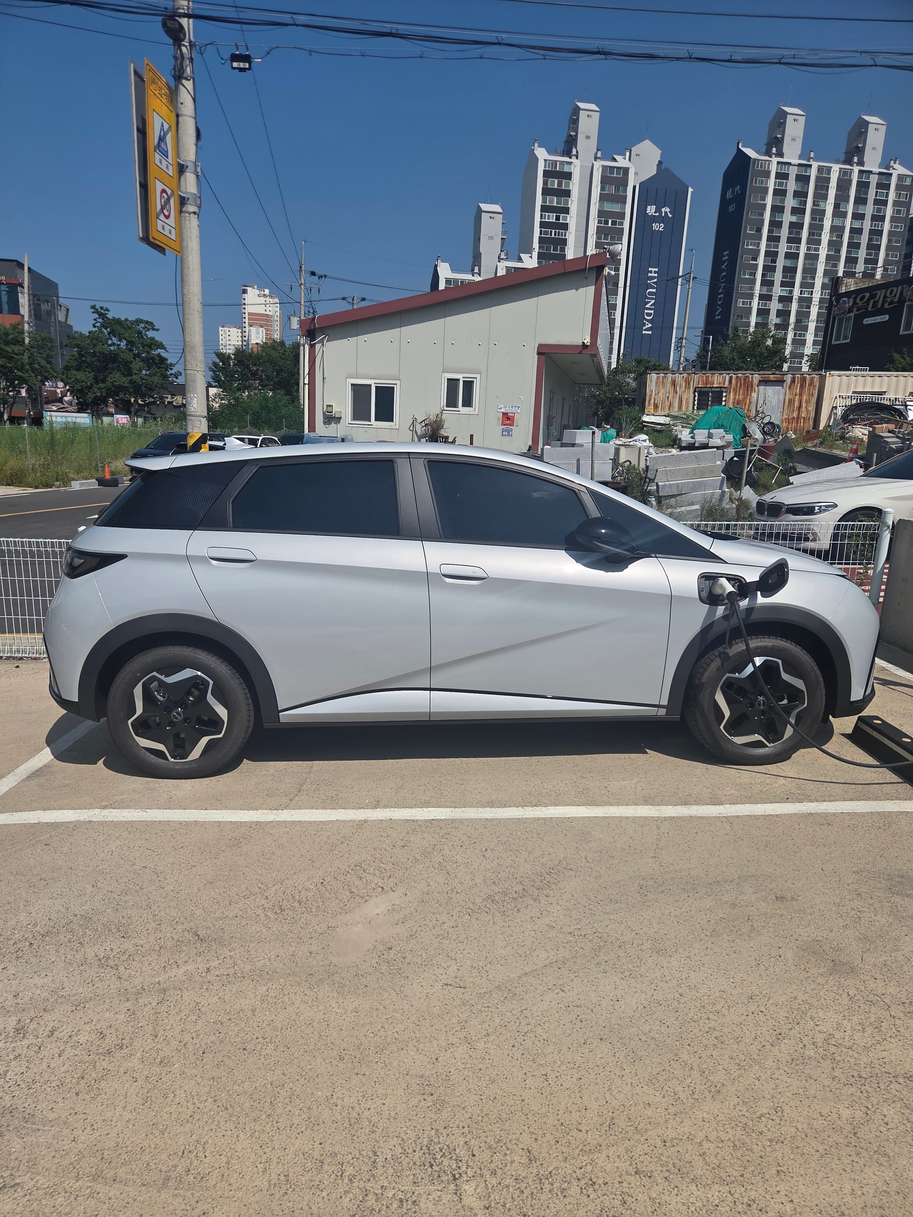 BYD Dolphin 출고후기 사진 2